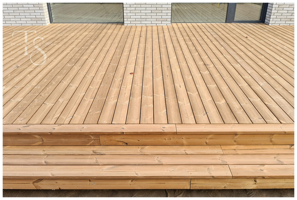 Terasos 20241010 154109